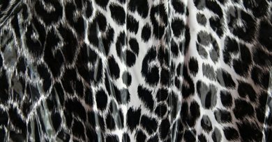 leopardí vzory