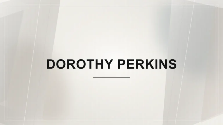 Nápis Dorothy Perkins na světlém abstraktním geometrickém pozadí