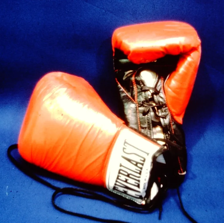 Boxerské rukavice Everlast Everguard